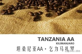 什么❓顾问正在热身⁉️42岁伊布回归米兰替补席督战